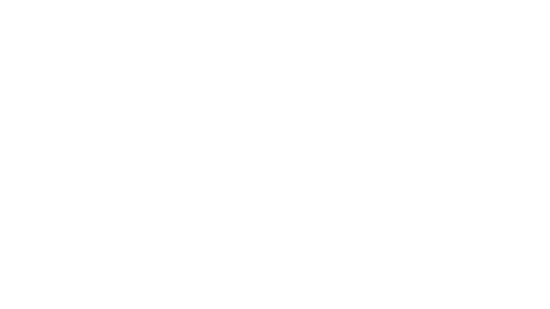 steelebeardsco